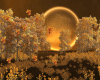 Autumn Forest