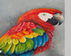 Animated macaw/arara