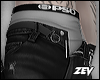 z le shorts v2