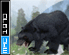 Black Bear (sound)