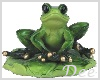 Frog on Lilly Pad