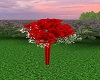 Red Rose/BB Boquet Pose