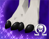 Dahlia Cloven Feet
