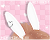 🐾 Bunny Ears White