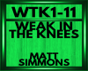 matt simmons WTK1-11
