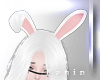 Bunny Ears White