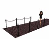 Carpet Rail~Barrier