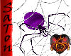 [SaT]Spider animated 