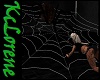 Animated Spider & Web