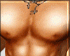 REAL ABS HOT SKIN