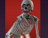 Fun Funny Farting Skeleton Skeletons Halloween Costumes