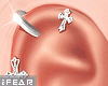 ♛Caene Earring