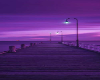 Purple boardwalk bkgroun