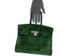 👽 Emerald Purse -R