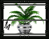 AM-Plant