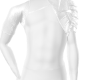 ARMOR RARC
