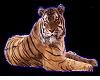 Tiger Sticker w/blueline