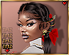 1 -Holiday / Xmas Hair