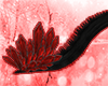 red crystal tail