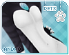 [Pets] Jade | andro kini