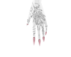 Pink Nails + Tattoo