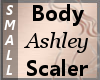 Body Scaler Ashley S