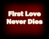[lei] First Love Never 
