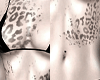 LEOPARD /  full tattoo