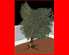 Mossy Oak Tree 1