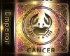 {C} Cancer Statue