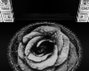 🚪 Frost Rose Rug
