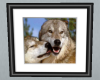 WolfPictureEnhancer1