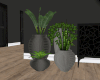 ND| House Plants