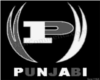 CTR-Punjabi Voice Box