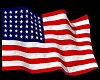 WAVING USA FLAG