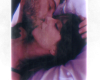 z CutOut
