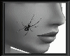 [xo]a spider on yr face