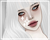 ✦ Archer