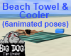[BD] BeachTowel&Cooler