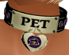 Hayes Pet Collar