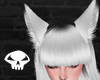 White Wolf ears