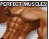 Perfect body muscle