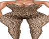 Leopard Jumpsuit