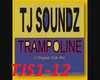 TJ SOUND TRAMPOLINE