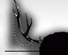 !! Cute Horns