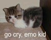 Go Cry, Emo Kid