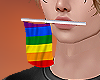 (S) LGBTQ Pride Flag