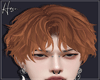 H ◄Jin► Ginger