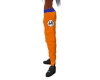 Gokus Pants