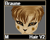 Braune Hair M V2